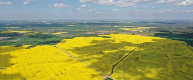 Modernėjant ūkiams, sėjomainos reikšmė nemąžta