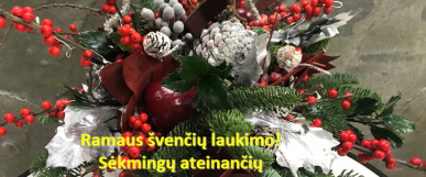 Ramaus švenčių laukimo!